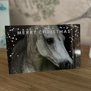 5x cartes de Noël de cheval équin