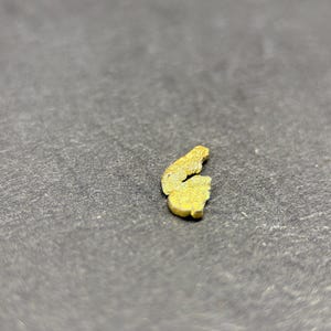 ALASKAN GOLD NUGGET| Natural Gold Nugget| Authentic Alaska Natural Gold Nugget| 0.121 Grams Of Pure Raw Gold| Rare Collector&#39;s Piece Or Gift