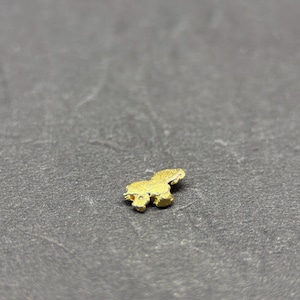 ALASKAN GOLD NUGGET| Natural Gold Nugget| Authentic Alaska Natural Gold Nugget| 0.146 Grams Of Pure Raw Gold| Rare Collector&#39;s Piece Or Gift