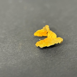 ALASKAN GOLD NUGGET| Natural Gold Nugget| Authentic Alaska Natural Gold Nugget| 0.625 Grams Of Pure Raw Gold| Rare Collector&#39;s Piece Or Gift
