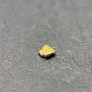 ALASKAN GOLD NUGGET| Natural Gold Nugget| Authentic Alaska Natural Gold Nugget| 0.248 Grams Of Pure Raw Gold| Rare Collector&#39;s Piece Or Gift