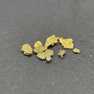 ALASKAN GOLD NUGGET| Natural Gold Nugget| Authentic Alaska Natural Gold Nugget| 0.425 Grams Of Pure Raw Gold| Rare Collector&#39;s Piece Or Gift