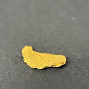 ALASKAN GOLD NUGGET| Natural Gold Nugget| Authentic Alaska Natural Gold Nugget| 0.830 Grams Of Pure Raw Gold| Rare Collector&#39;s Piece Or Gift