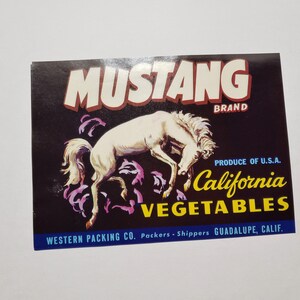 May include: A vintage label for Mustang Brand California Vegetables. The label features a white horse rearing up on its hind legs against a black background. The text "PRODUCE OF U.S.A. California VEGETABLES" is printed in yellow and blue. The label also includes the text "WESTERN PACKING CO. Packers-Shippers GUADALUPE, CALIF."