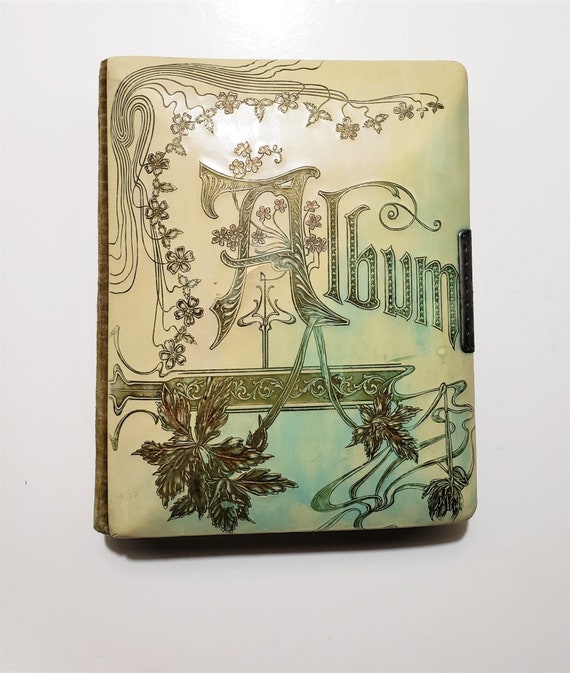 1800s Victorian Photo Album Celluloid Cover for Cartes de Visite and Cabinet Cards