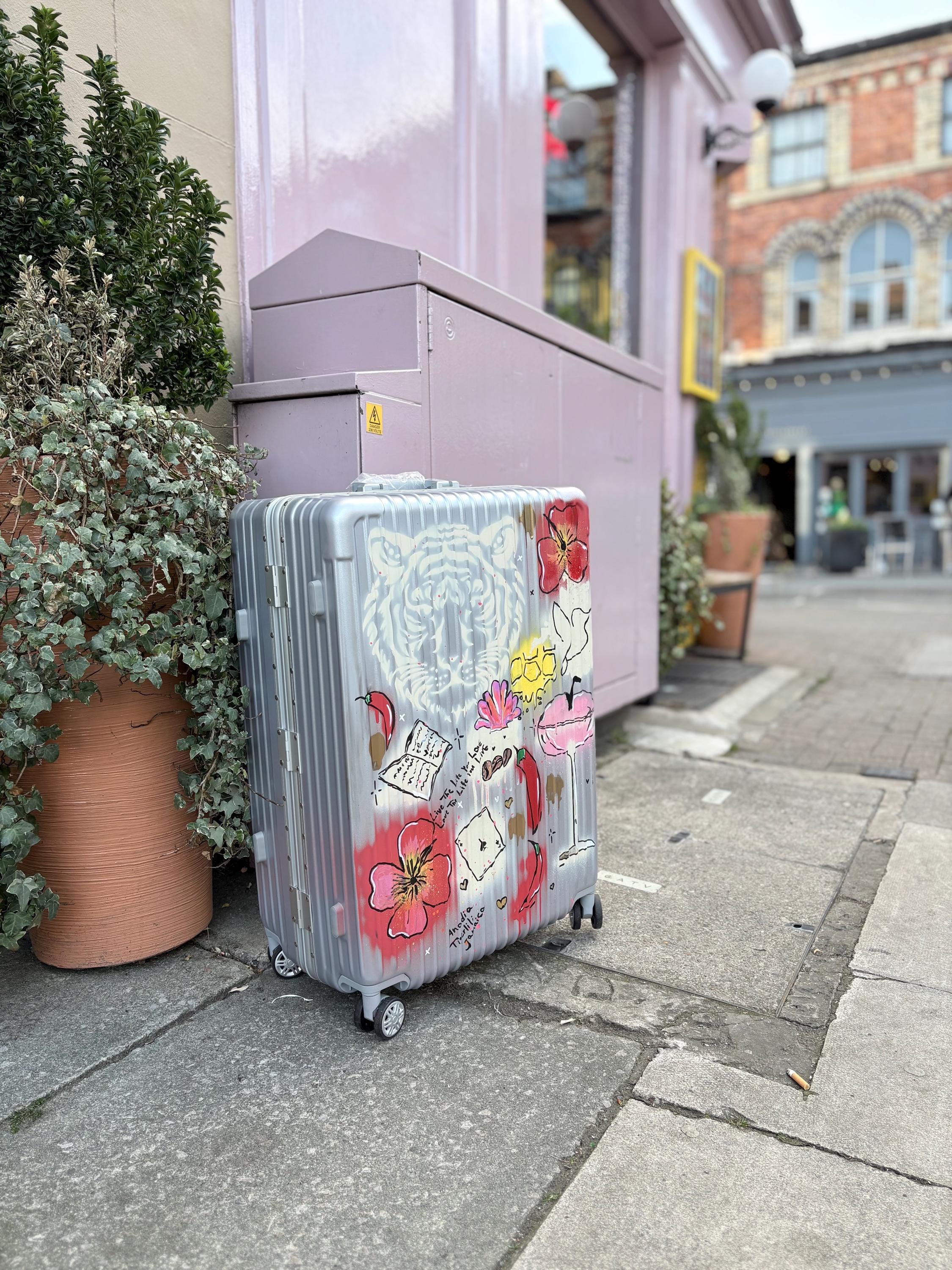 Suitcase Design Custom Cabin Suitcase: Personalised Travel Luggage - Etsy