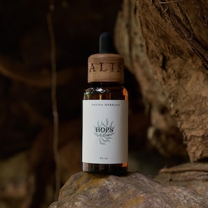 Wild Hops Elixir: Fresh Hops Tincture with Raw Honey (Humulus Lupulus)