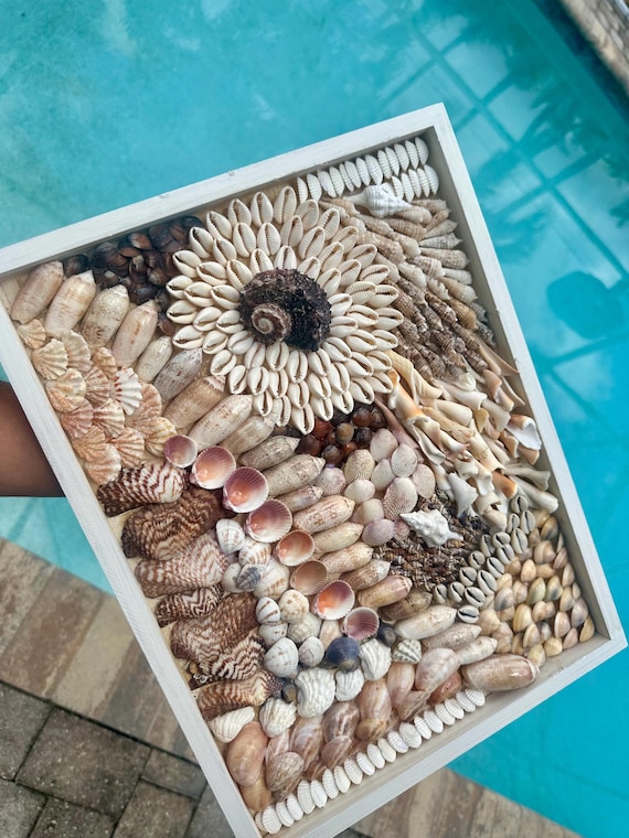 サニベル島の貝殻アート：手作りの海岸コラージュ - Etsy 日本