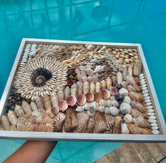 貝殻たくさん　貝殻オブジェ サニベル島の貝殻アート：手作りの海岸コラージュ - Etsy 日本