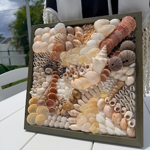 Shell Mosaic: Organic Seashell Framed Wall Art Mosaic Coastal Beach House Décor, Natural Art