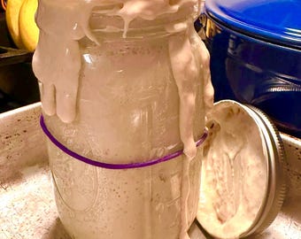Live 200+ Year Old French Sourdough Starter *ORGANIC*