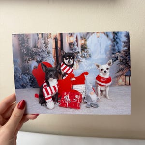 Chihuahuaslee en cadeaus A5-kerstkaart I Iconic Destiny's Chis Dogs | Inclusief envelop | Blanco binnenkant