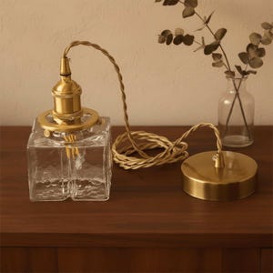 May include: A clear, square glass pendant light with a textured surface and brass-coloured fittings. It features a braided cord and a matching ceiling rose. A small glass vase with greenery is in the background.
