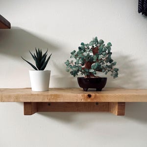 May include: A wooden shelf with a small succulent in a white pot and a bonsai tree with green leaves in a dark brown pot. The shelf is made of light-colored wood and is mounted on a white wall.