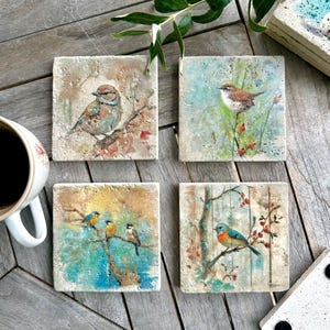 Può includere: Set di quattro sottobicchieri quadrati con illustrazioni dettagliate di uccelli. Ogni sottobicchiere presenta una diversa specie di uccello posata su rami con sfondi colorati. I sottobicchieri sono realizzati in un materiale strutturato simile alla pietra.