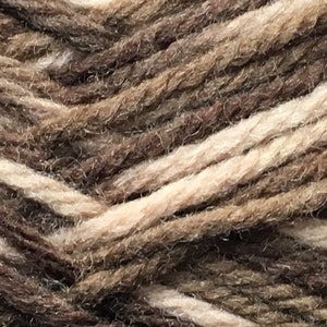 Dark Horse Yarns Rhapsody #152 Variegated Browns, Beige 100% Merino Wool Yarn 100 gram 205 yards brown worsted wool yarn