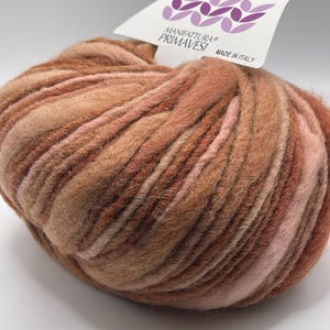 May include: A ball of brown and pink yarn with a label that reads "Shaggy" and "Manifattura Primasvesi Made in Italy".