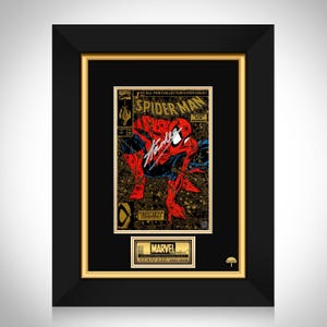 Spider-Man Torment #1 Stan Lee Limited Signature Edition Comic Book Cover Art Custom Frame