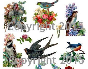 Druckbare viktorianische Vögel und Blumen 102 Collage Sheet. Sofortiger digitaler Download, Frühling, Vogel, Blumen Scrapbook Verzierungen