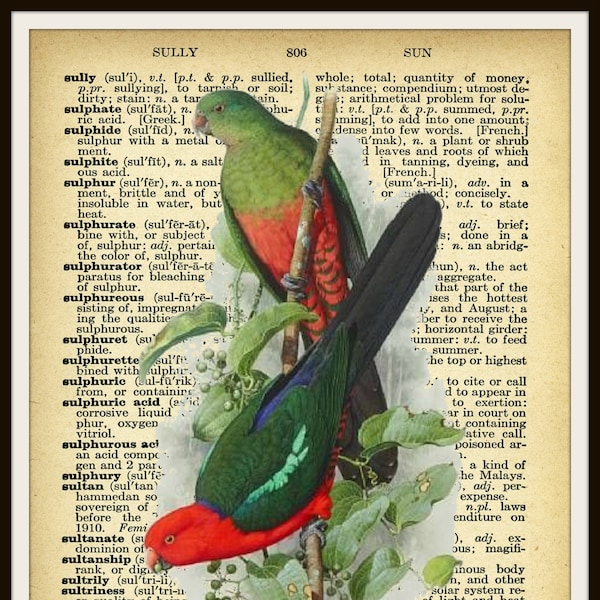 Vintage Art Print  Birds on Ephemera Dictionary Page Wall Decor Instant Digital Download, Unframed,  JPG and PDF  8 x 10"