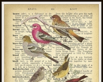 Vintage Art Print  Pink Birds on Ephemera Dictionary Page Wall Decor Instant Digital Download, Unframed,  JPG and PDF  8 x 10"