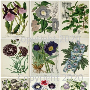 9 vintage Botanical Blue Flowers Ephemera Collage, Gift Tags, ATC, Altered Art, Card Making Scrapbook, Instant Digital Download JPG et PDF
