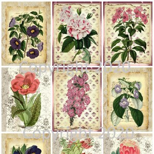 9 vintage Botanical Flowers Ephemera Collage, Gift Tags, ATC, Altered Art, Card Making Scrapbook, Instant Digital Download JPG PDF