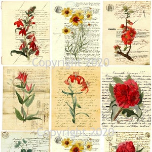 9 vintage Botanical Red Flowers Ephemera Collage, Gift Tags, ATC, Altered Art, Card Making Scrapbook, Instant Digital Download JPG et PDF