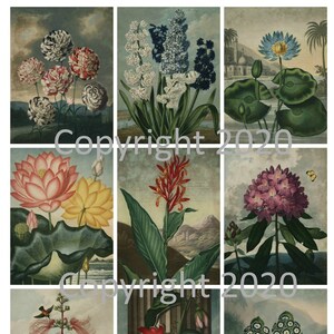 9 Vintage Botanical  Flowers Ephemera Collage, Gift Tags, ATC, Altered Art, Card Making Scrapbook, Instant Digital Download JPG   PDF