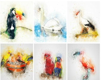 Druckbare Aquarell Vögel Sofortiger digitaler Download, Blumen, Scrapbook Verzierungen