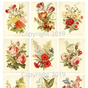 9 vintage Botanical Flowers Ephemera Collage, Gift Tags, ATC, Altered Art, Card Making Scrapbooking, Instant Digital Download JPG et PDF