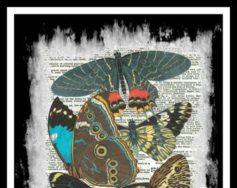 Vintage Art Print Papillons / Butterflies on Vintage Dictionary Page, Wall Decor Instant Digital Download, Unframed,  JPG and PDF 8.5 x 11