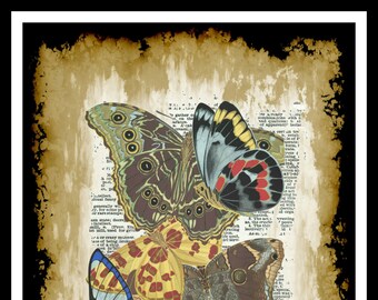 Vintage Art Print Papillons / Butterflies on Vintage Dictionary Page, Wall Decor Instant Digital Download, Unframed,  JPG and PDF 8.5 x 11