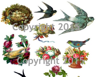 Viktorianische Vögel und Blumen 101 Collage Sheet zum Ausdrucken. Sofortiger digitaler Download, Frühling, Vogel, Blumen Scrapbook Verzierungen