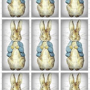 Beatrix Potter Illustration, Potter Menagerie, Instant