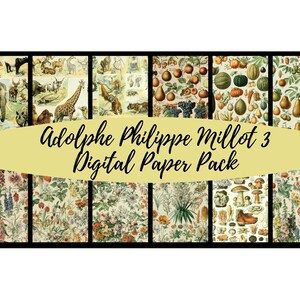 Adolphe Millot 3 Digital Paper Pack / 12 Sheets of 12 x 12"  JPG Background Papers for Scrapbooking, Junk Journals, Card Making