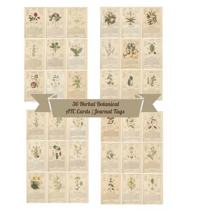 36 Vintage Botanical Medicinal ATC Cards, Tags Graphics  for Altered Art, Journals, Scrapbook, Card Making Instant Download JPG + PDF