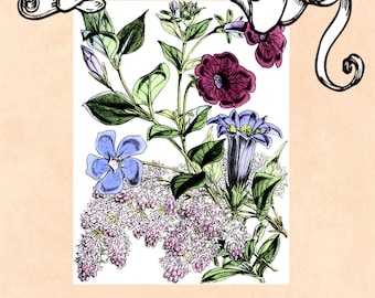 Color Me Calm 30 Botanische Blumenmuster Malbuch für Erwachsene zum Drucken PDF Digital Download