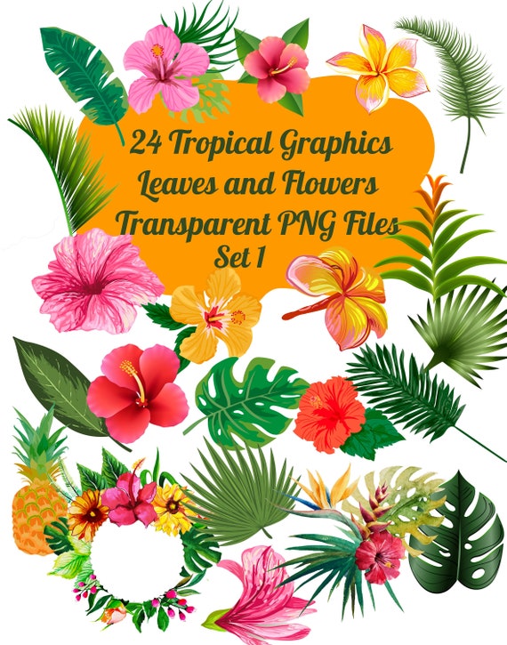 24 flores tropicales y hojas de imágenes Clip Art Archivos PNG - Etsy México