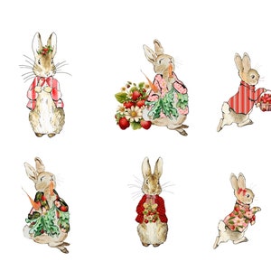 12 Peter Rabbit Strawberry Coquette Clip Art Transparent PNG Files ...