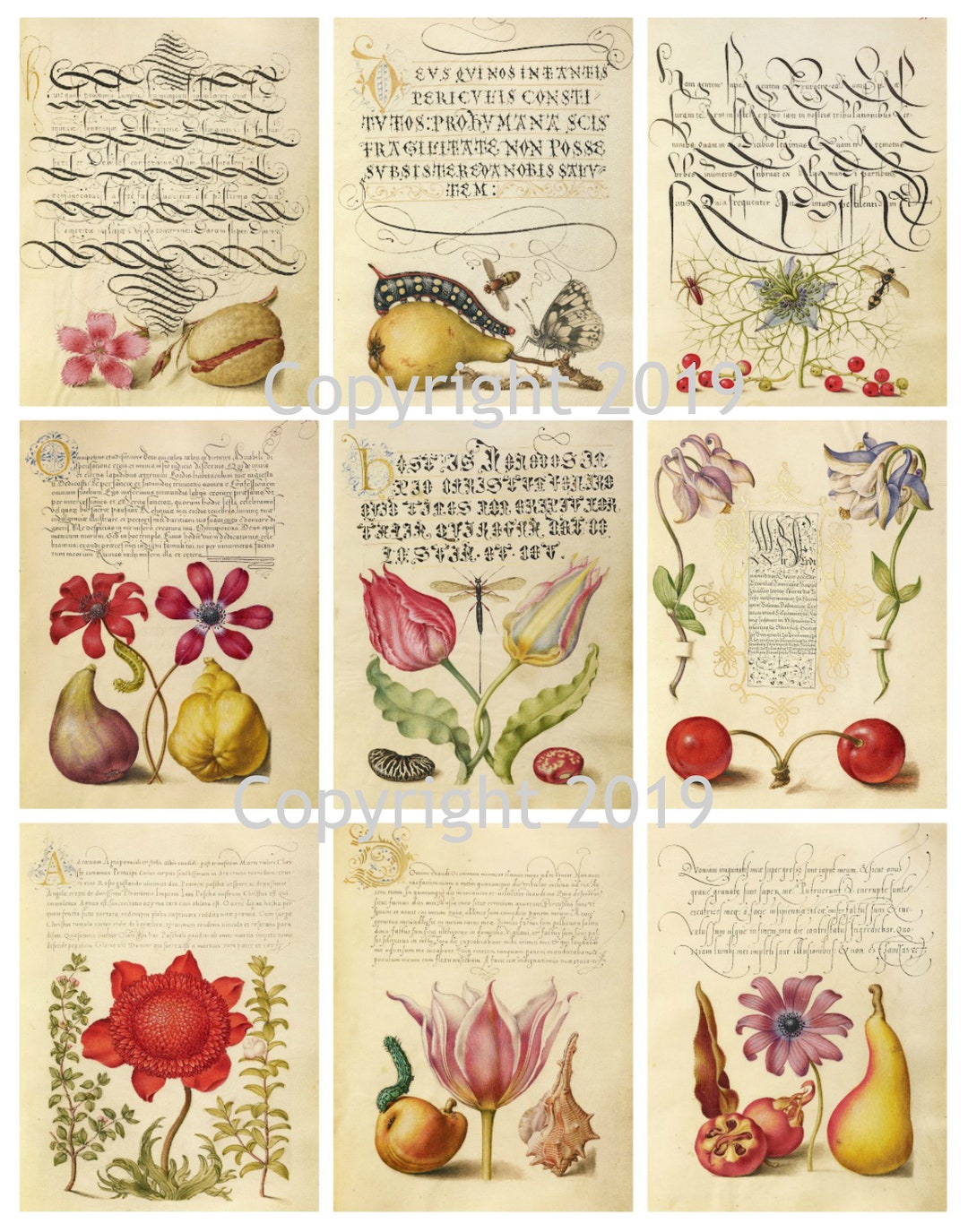 Vintage Book of Calligraphy Collage Sheet Instant Digital Download ...
