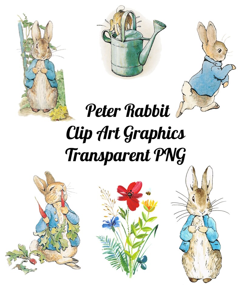 24 Peter Rabbit and Poppy Flowers Clip Art Transparent PNG Files ...