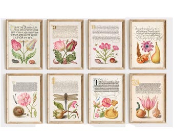 Printable Set of 8 Vintage Botanical Calligraphy Wall Art  | Antique Manuscript Floral Gallery Wall | Instant Digital Download