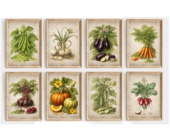 Printable Set of 8 Vintage Vegetable Botanical Prints, Kitchen Wall Art Digital Download, Farmhouse Produce Gallery Bundle Set