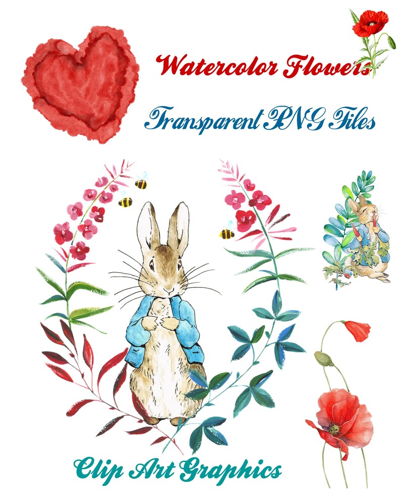 24 Peter Rabbit and Poppy Flowers Clip Art Transparent PNG Files ...