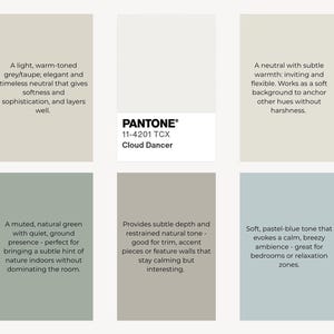 May include: Color palette featuring six color swatches. Includes a light grey-taupe, a neutral grey, a muted green, a neutral with subtle warmth, a soft pastel blue, and a grey-brown. The Pantone color "Cloud Dancer" is also displayed.