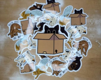 Box Cat Aufkleber