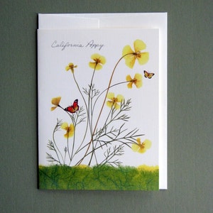 California Poppy flowers with tiny butterflies, yellow and green, botanical card, pressed flowers, pressed poppies, greeting card, no.1157 image 1