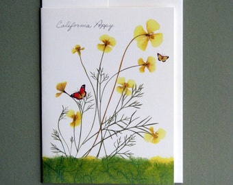 California Poppy flowers with tiny butterflies, yellow and green, botanical card, pressed flowers, pressed poppies, greeting card, no.1157