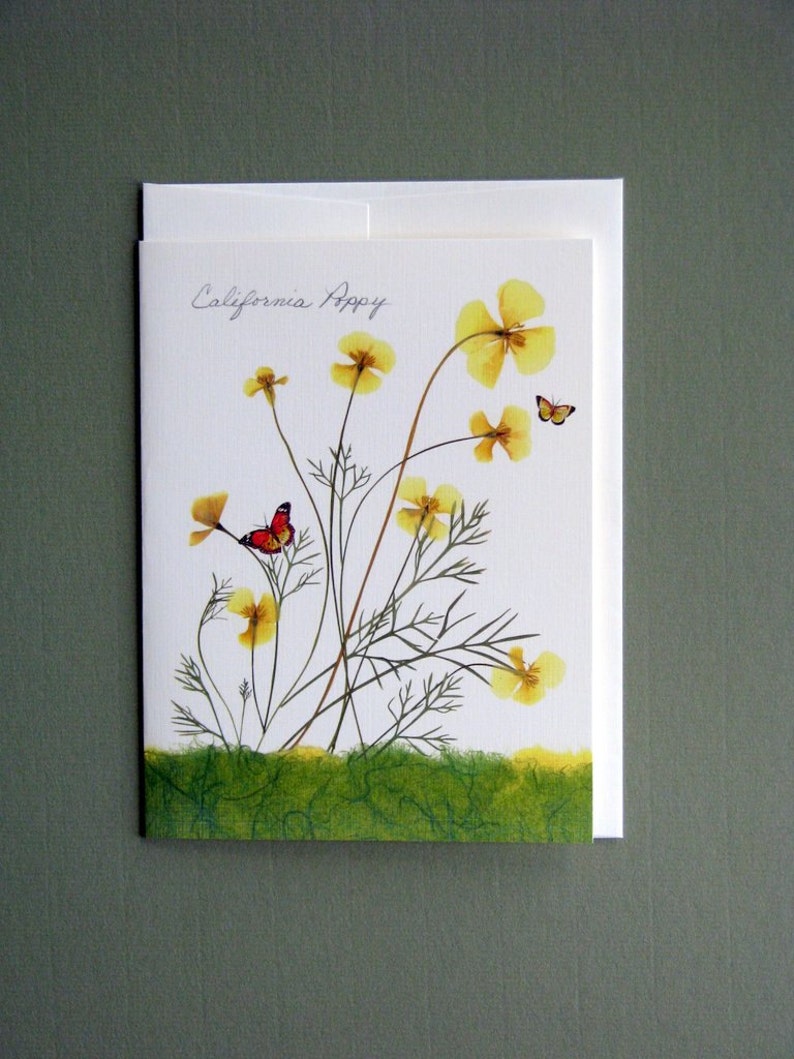 California Poppy flowers with tiny butterflies, yellow and green, botanical card, pressed flowers, pressed poppies, greeting card, no.1157 image 1